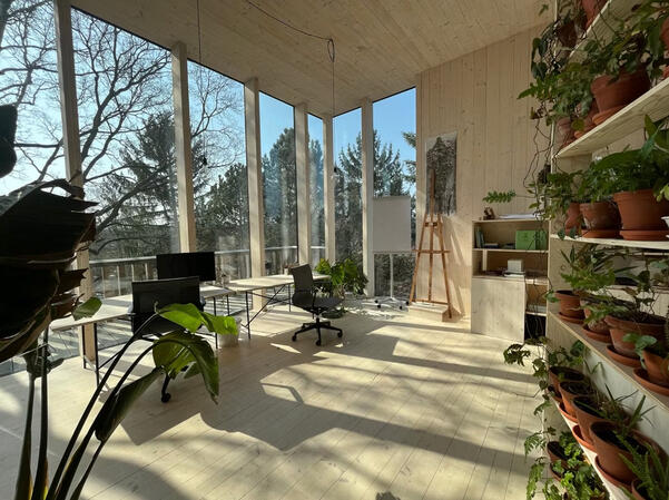 Tree Frame